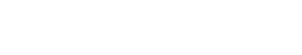TDWprog menu logo White